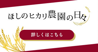 ほしのヒカリ農園の日々 詳しくはこちら